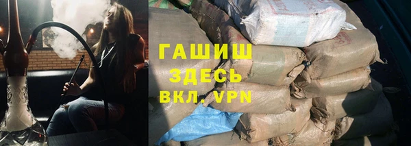 стаф Алзамай