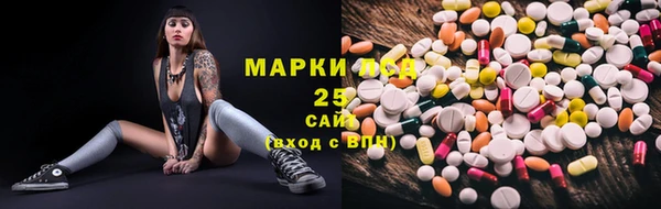 дживик Майский