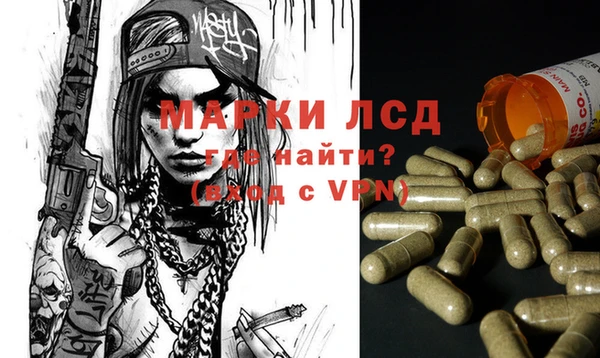 стаф Алзамай