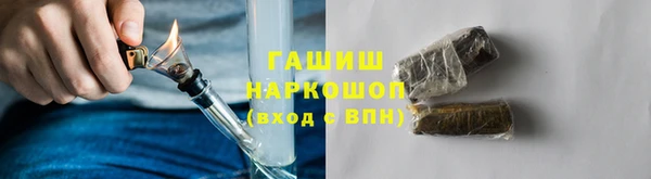 стаф Алзамай