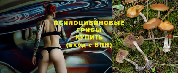 стаф Алзамай