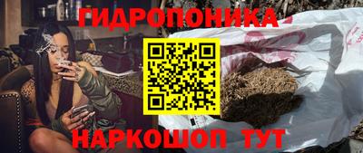 Альфа ПВП Лесосибирск