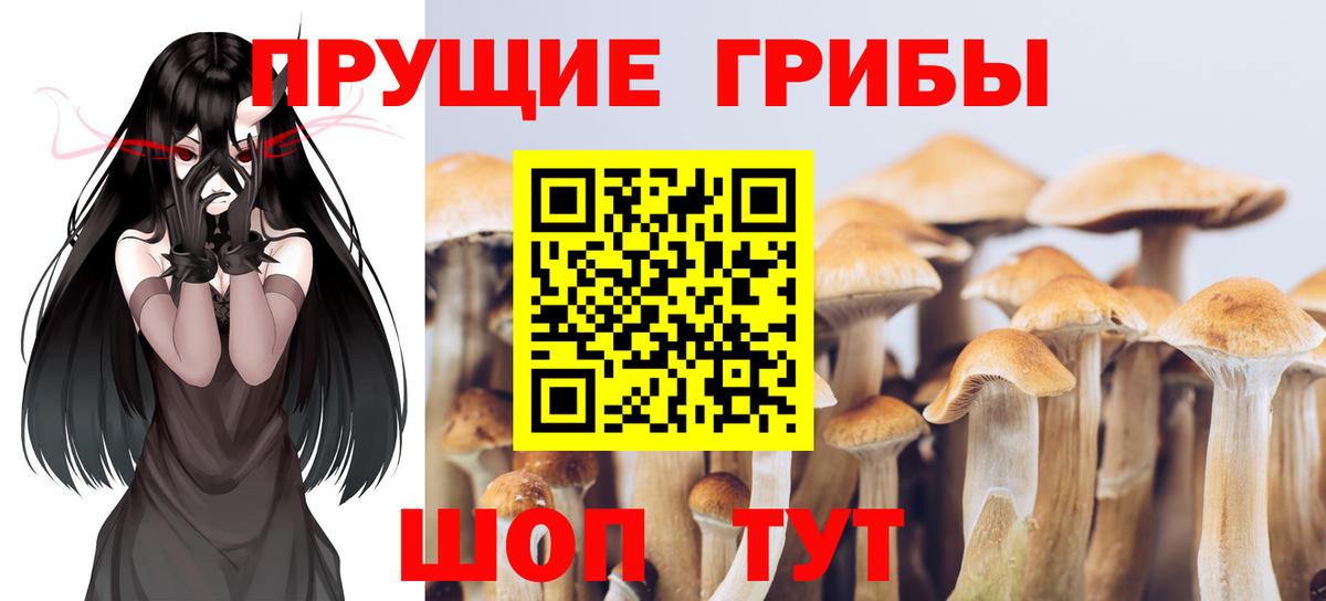 Галлюциногенные грибы MAGIC MUSHROOMS  Псилоцибиновые грибы Magic Shrooms  Волжский  Вход с VPN 